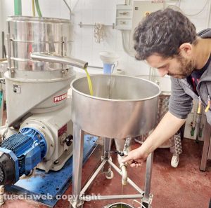 Vasanello - La raccolta delle olive 2023