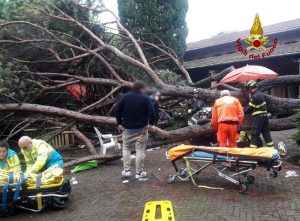 Montecatini Terme - Pino sradica e cade in un parco termale