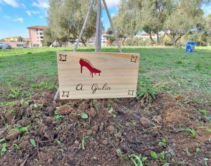 Santa Barbara - Alberi per il futuro