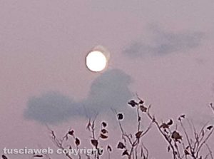La luna nel cielo