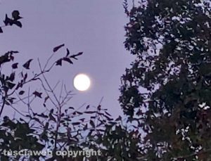La luna nel cielo