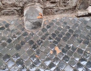 Viterbo - Escrementi in via Ottusa