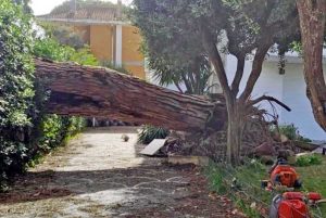Tromba d'aria tra Fiumicino e Fregene