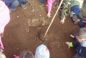 Ekolcub - Festa dell'albero