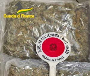 Aprilia - La droga sequestrata dalla guardia di finanza
