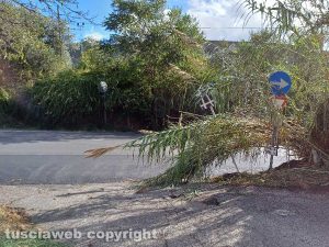 Viterbo - Canne e cartello pericolante sulla Tangenziale ovest