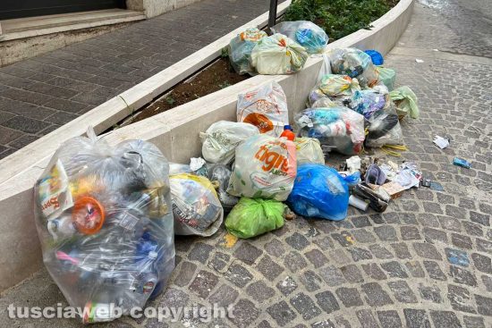 Viterbo - Via Matteotti - Alberi e monnezza al posto dei parcheggi