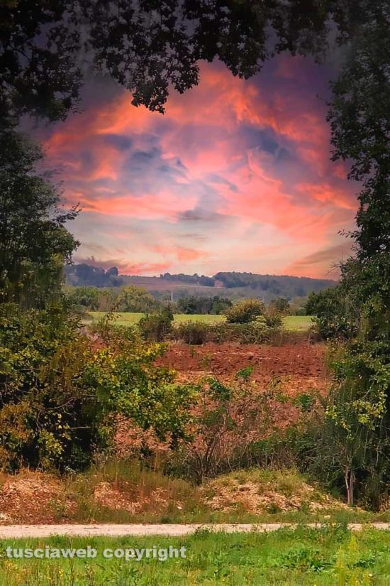 Campagna di Gallese