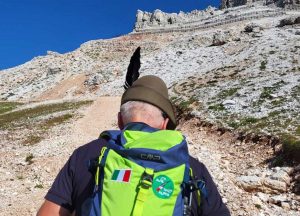 Alpini