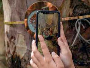 Napoli - Progetto "A rareca rarechea"