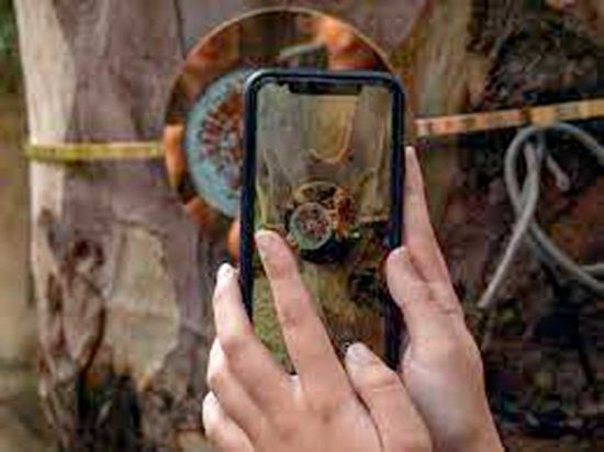 Napoli - Progetto "A rareca rarechea"
