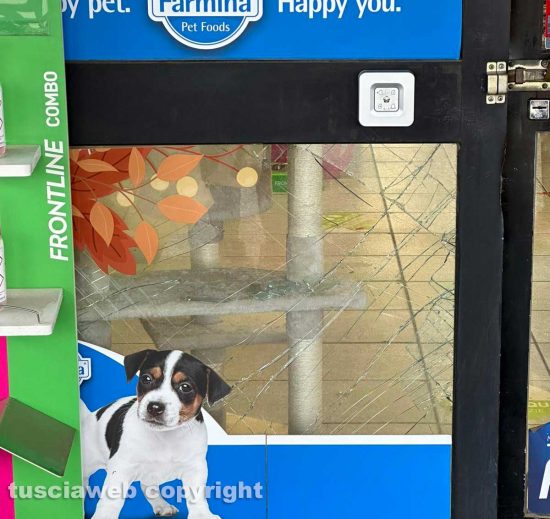 Viterbo - Colpo al Galaxy pet