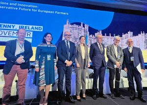 Rotelli all'incontro dei Conservatori in Irlanda