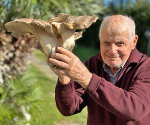L’agricoltore 93enne Adelmo Mariani