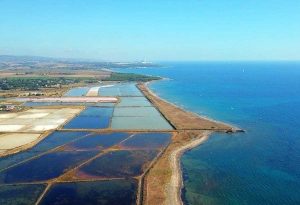 Viterbo - Bando Prin 2022, premiata la ricerca dell’università degli studi della Tuscia
