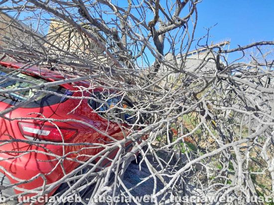 Tarquinia - Albero cade su auto parcheggiata