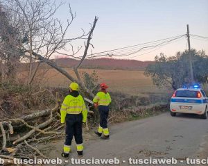 Bolsena - La protezione civile in azione
