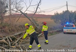 Bolsena - La protezione civile in azione
