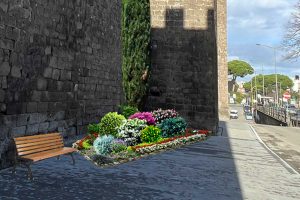 Un fotomontaggio con la proposta di Tuscia in fiore