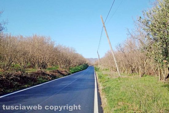 Caprarola - Pali pericolanti sulla Sp Caprolatta 69