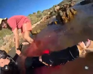 Il ventenne di Parma attaccato da uno squalo in acqua