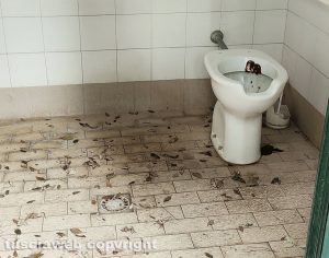 Montalto di Castro - Sporcizia e degrado nel bagno pubblico in via Arbea
