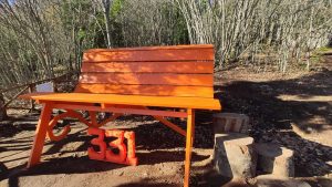 Soriano nel Cimino- Inaugurazione della prima Big Bench della Tuscia