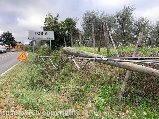 Viterbo - Pali telefonici caduti a terra a causa del vento