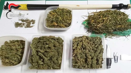Soriano nel Cimino - Carabinieri - La droga e il materiale sequestrati