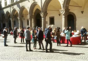 Viterbo - Paperonly a piazza del Comune