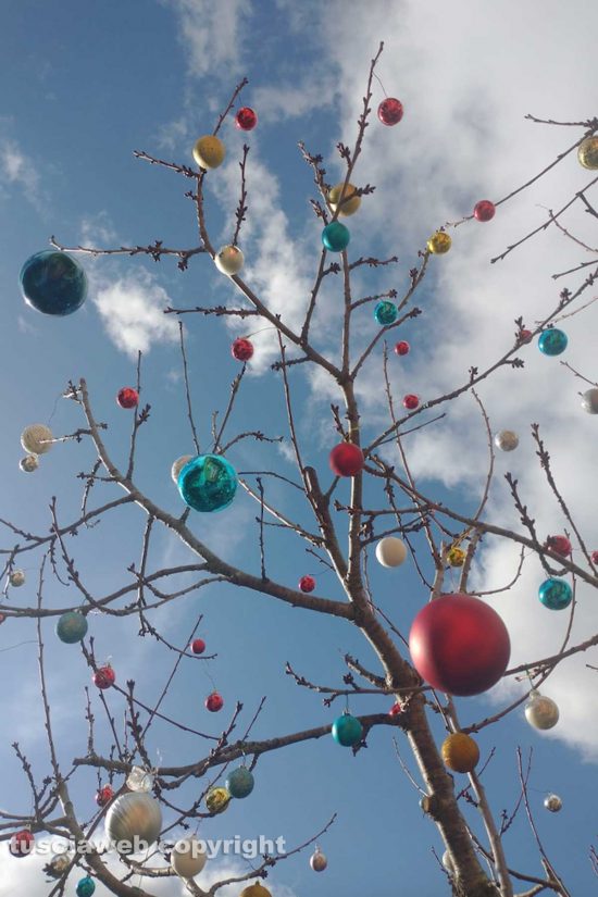 Cerveteri - Albero addobbato con sfere di Natale
