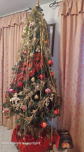 Vetralla - L’albero di Anna Rita Cesarini