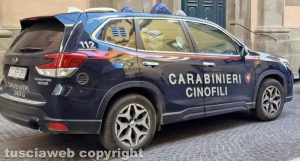 I carabinieri cinofili