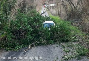 Acquapendente - Albero precipita su un’auto in transito