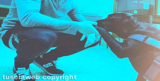 Viterbo - Foto del progetto "Qua la zampa" con un detenuto e il cane