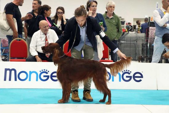 Mattia Canfora con il suo cane Eden durante una gara