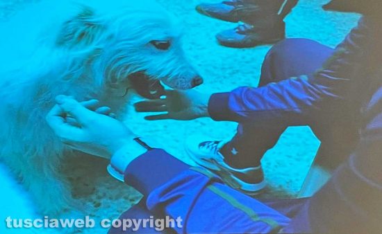 Viterbo - Foto del progetto "Qua la zampa" con un detenuto e il cane