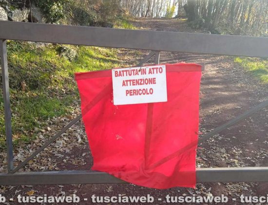 Valentano - La foto con il cartello che Andrea Occhipinti ha trovato sul suo terreno 