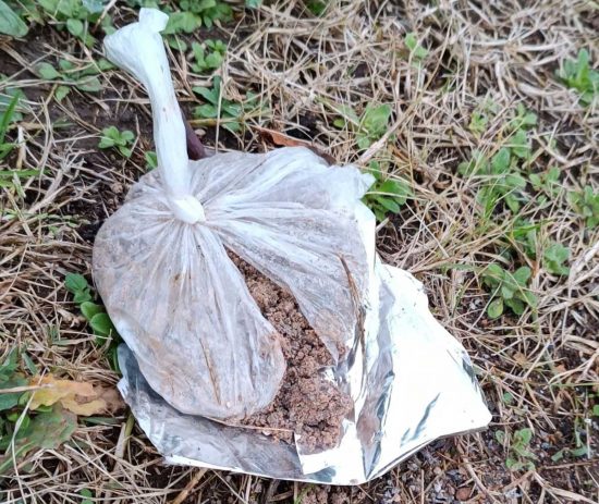Il sacchetto ritrovato nel giardino a Gallese