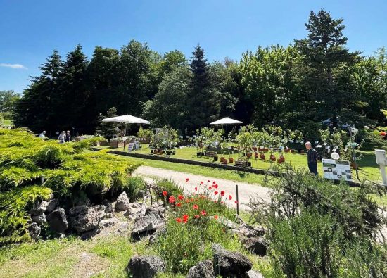 Viterbo - Evento orto botanico Angelo Rambelli