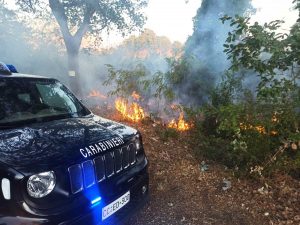 Incendio - I carabinieri forestale - Immagine di repertorio