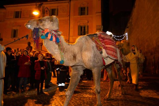 Presepe vivente di Tarquinia - I Re Magi a dorso di cammello