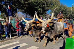 Tuscania - La festa di Sant'Antonio e la sagra della Frittella