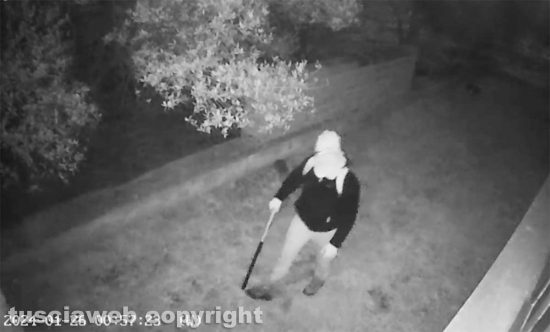 Viterbo - Furti in strada Gavazzano e strada Montigliano - Le riprese della videosorveglianza