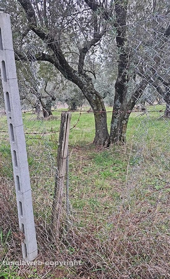 Viterbo - Furti in strada Gavazzano e strada Montigliano - La recinzione tagliata con le tenaglie