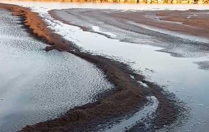 Montalto di Castro - Il fiume Fiora