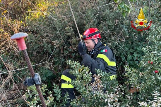 Tuscania - I vigili del fuoco salvano un cane