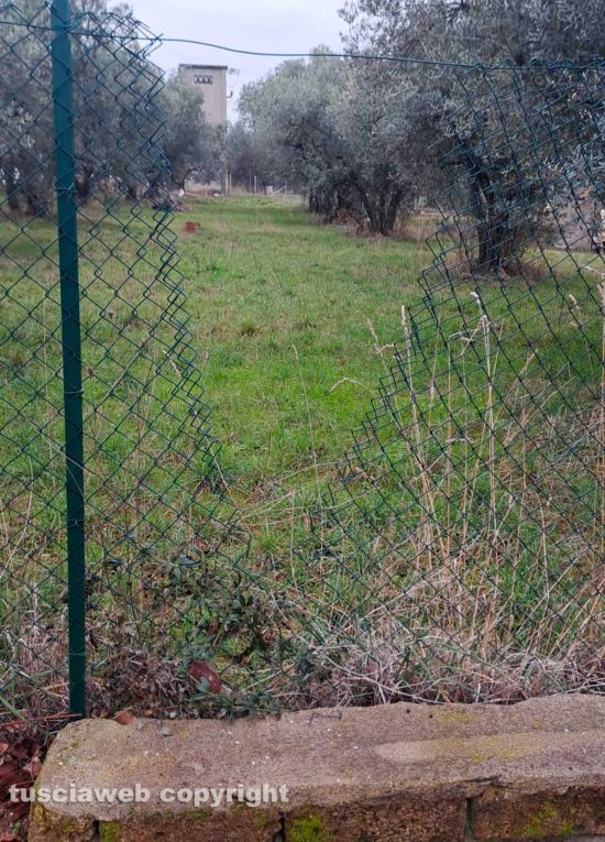 Viterbo - Furti in strada Gavazzano e strada Montigliano - La recinzione tagliata con le tenaglie