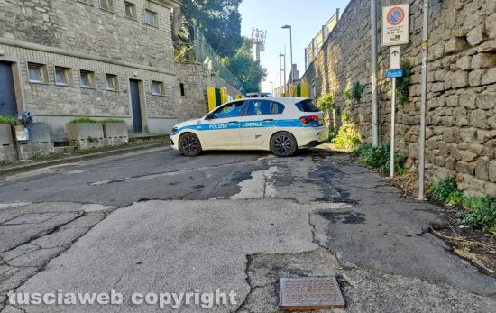 Viterbo - Crolla albero a pratogiardino Lucio Battisti - La polizia