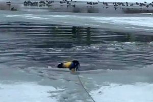 Utah - Vigile del fuoco si tuffa nel lago ghiacciato e salva un cane